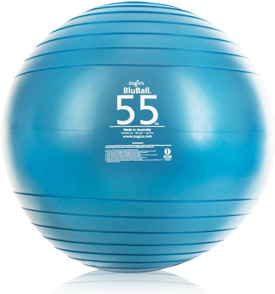 Zogics 2200Lbs Static Strength Exercise Stability Ball